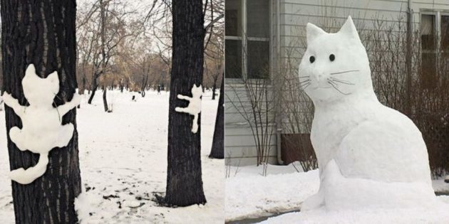 snow figure: Cat