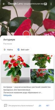 5 mobile applications, capable of recognizing houseplants