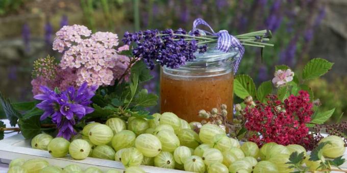 Gooseberry jam without cooking for the winter