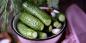 6 recipes for pickled cucumbers