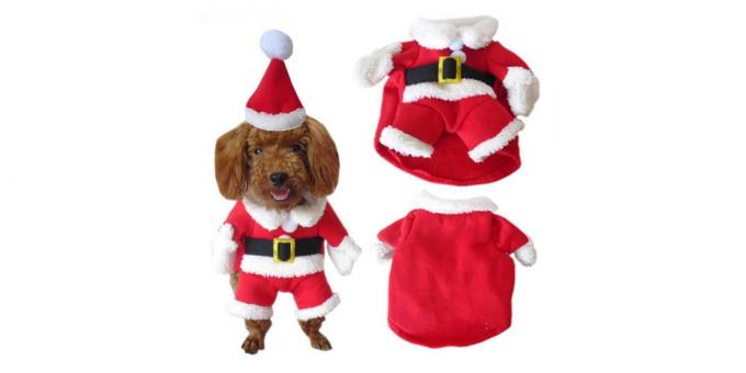 Festive costume for a dog
