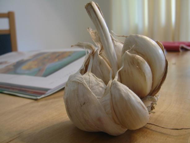 healthy foods: garlic