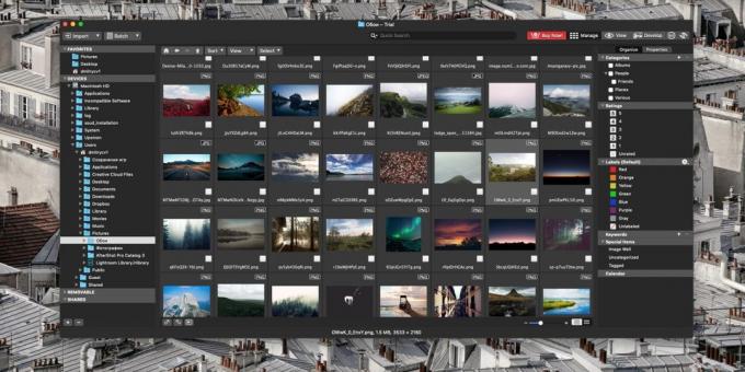 How to organize a collection of photos: ACDSee Photo Studio