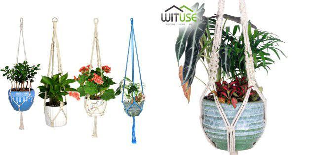 Hanging baskets