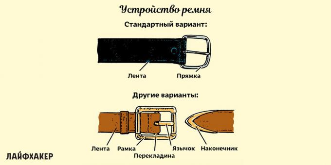 how to choose a belt: belt device