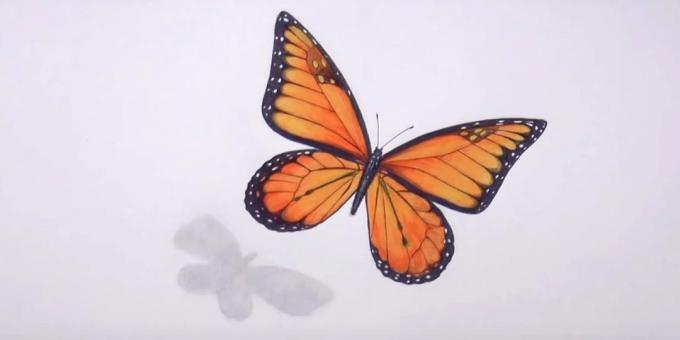 Erase pencil sketches and black color tweak butterfly pattern