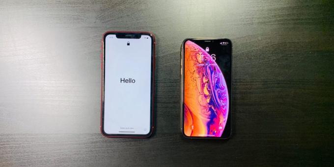 Overview iPhone XR: Dimensions