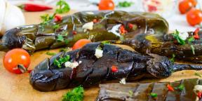 8 recipes eggplant on the grill for a perfect picnic