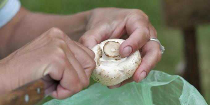 How to clean mushrooms before boiling