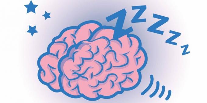 facts about the brain: the brain work in a dream