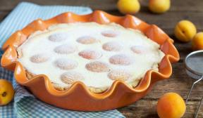 Pie with cottage cheese and apricots