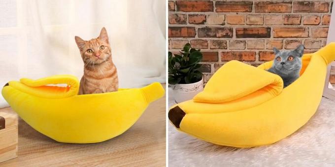House in the form of a banana