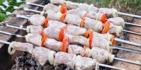 8 ways to marinate the meat for a shish kebab