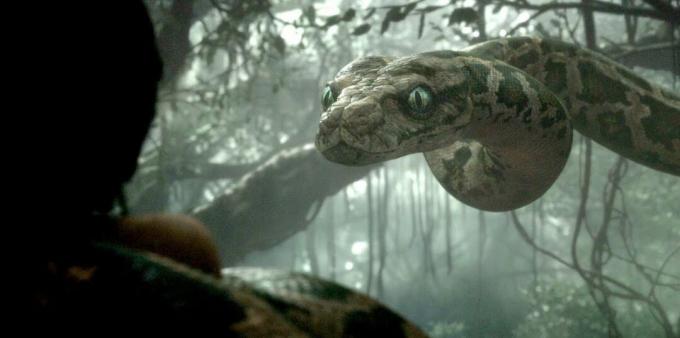 Shot from the movie about snakes "The Jungle Book"