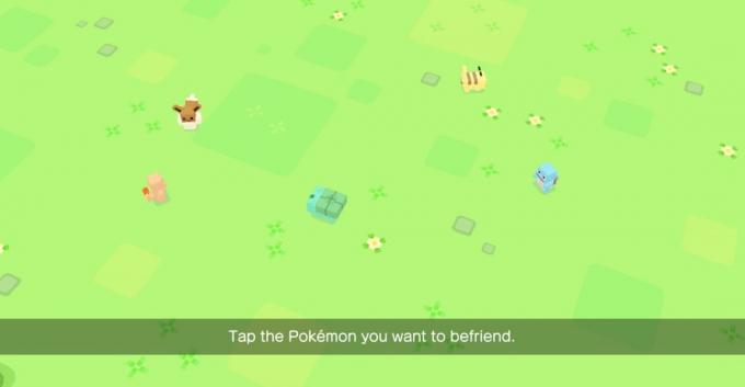 Pokemon Quest. Beginning of the game