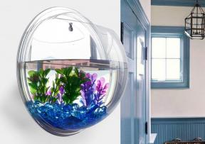 Found AliExpress: wall-mounted aquarium, friendly puncher and the external battery from Xiaomi