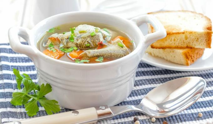 Chicken broth soup