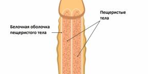 Than a penis fracture threatens and how to treat it
