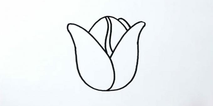 How to draw a tulip: add a bud