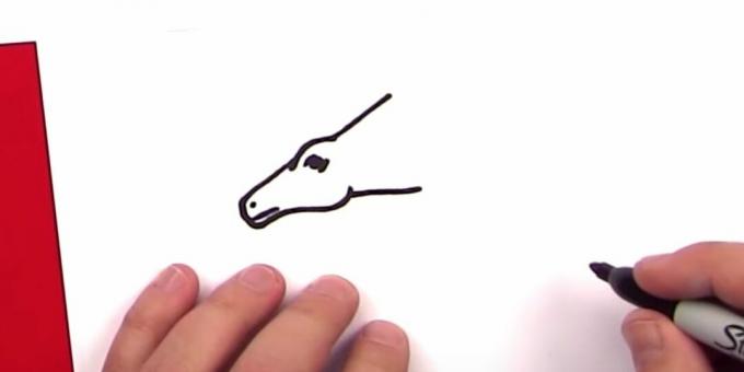 Draw the head and neck