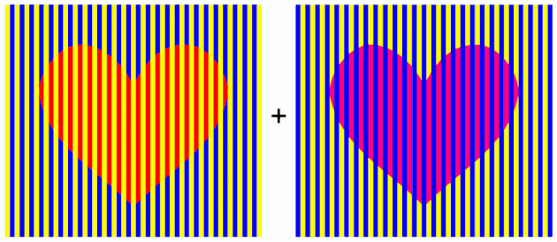 optical illusion: the heart