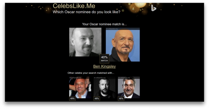 CelebsLike.me: results