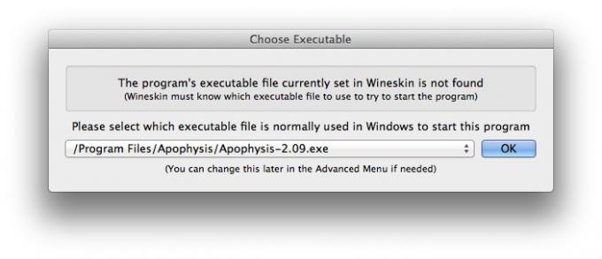 Window for selecting the main executable Windows-program