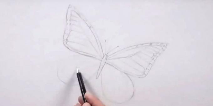 Draw circles around the edges of the right wing and the left wing mark the pattern