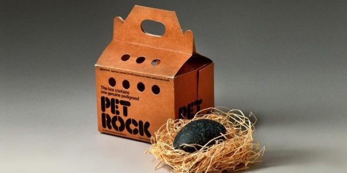Business Ideas: Pet Rocks