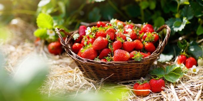 Seasonal goods: strawberry
