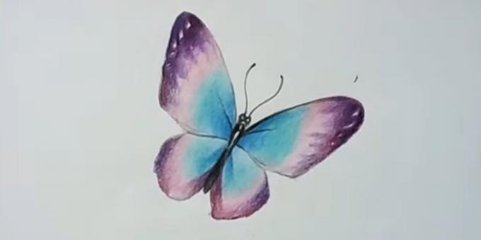 Add more saturated color purple butterfly wings