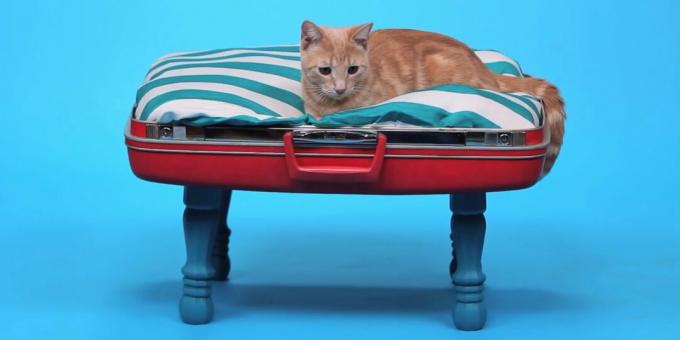How to make a do-it-yourself cat bed from a suitcase