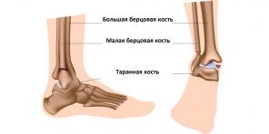 How to recognize an ankle fracture and what to do next