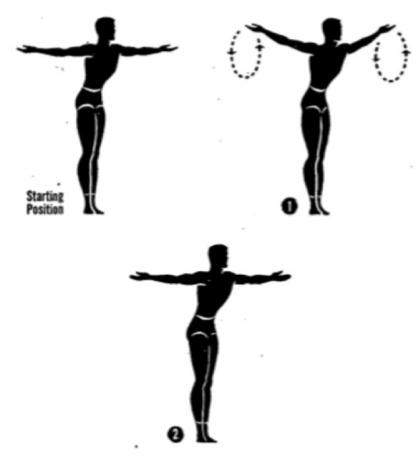 for posture exercises. Followed hands