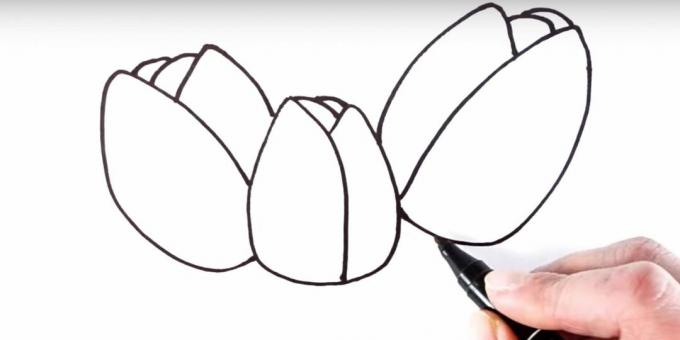 How to draw a tulip: add back petals