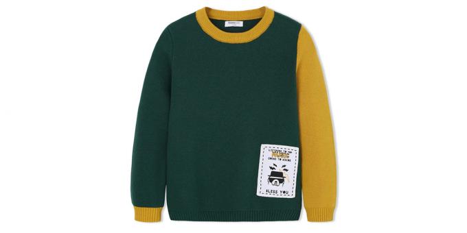Sweater for a boy