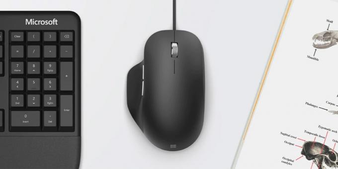 Microsoft Ergonomic Mouse