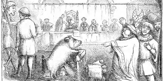 A pig and her piglets are tried for killing a child. Illustration from Chambers' Day Book