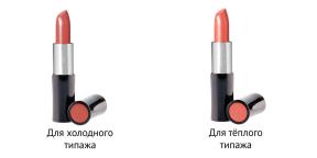 How to choose cosmetics for daily make-up