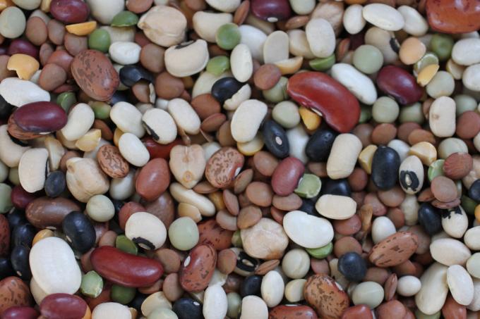 healthy foods: beans