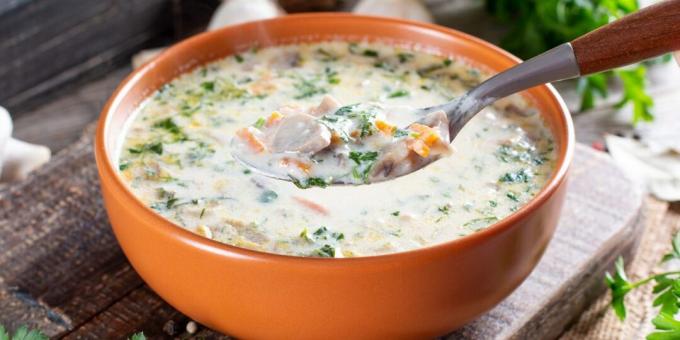 Creamy soup with turkey and mushrooms
