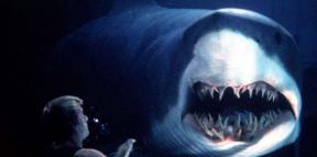 10 shark movies that will delight or scare you