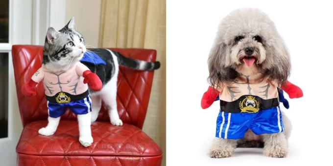 Christmas costumes for dogs and cats: boxer