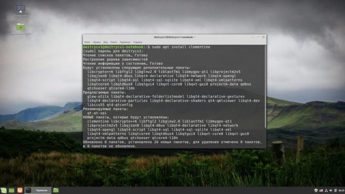 How to install software in Linux: terminal