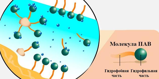 Micellar water: surfactant molecule