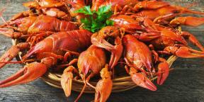 How and how much to cook crayfish to make them juicy