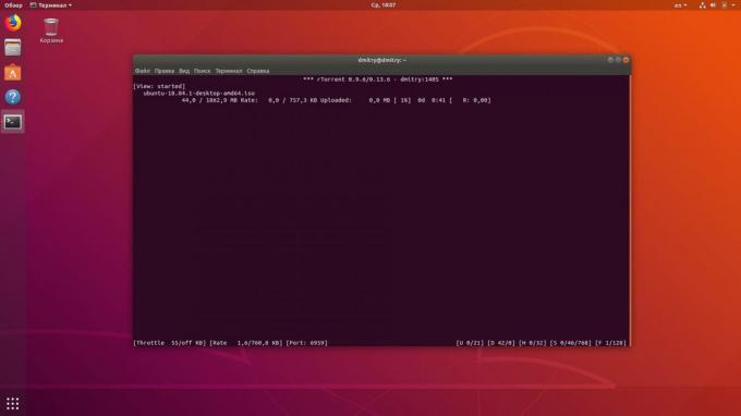 Linux terminal allows you to download torrents