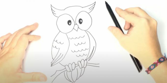 How to draw an owl: draw claws, a branch and a tail