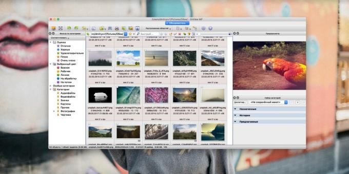 How to organize a collection of photos: XnView
