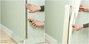 As wallpaper glue: Detailed instructions with photos and video